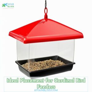 Best Cardinal Bird Feeders Top Picks And Tips For Attracting Cardinals