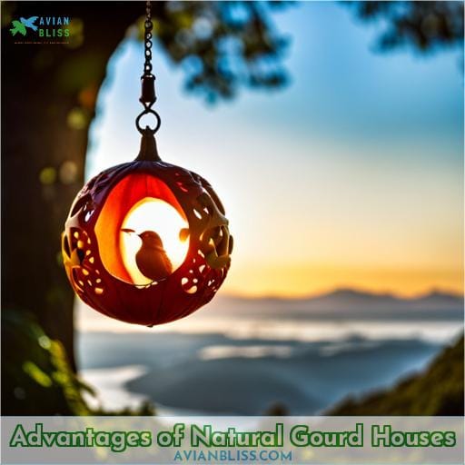 Advantages of Natural Gourd Houses