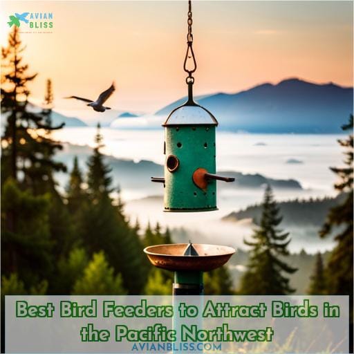 Best Bird Feeders to Attract Birds in the Pacific Northwest