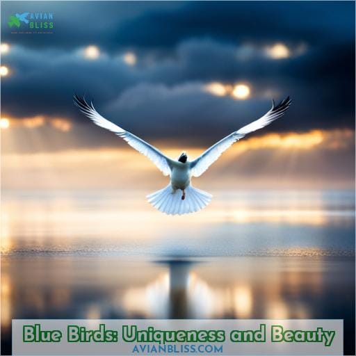 Blue Birds: Uniqueness and Beauty