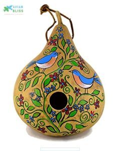 Bluebird Birdhouse, Gourd Art, Hand