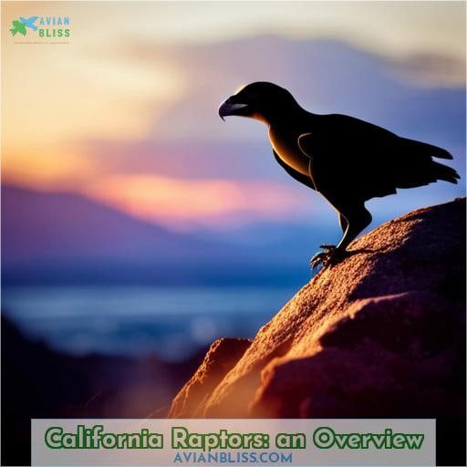 California Raptors: an Overview
