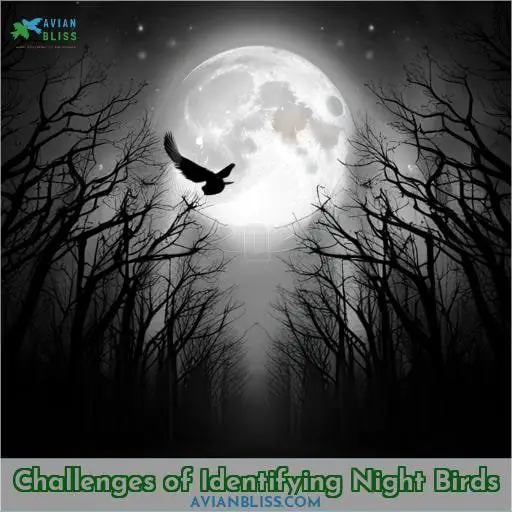 Challenges of Identifying Night Birds