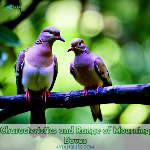Characteristics and Range of Mourning Doves