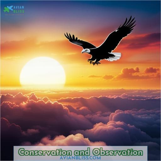 Conservation and Observation