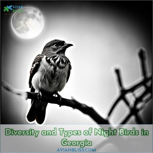 Diversity and Types of Night Birds in Georgia