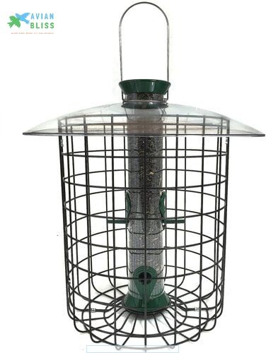 Droll Yankees Sunflower Domed Cage