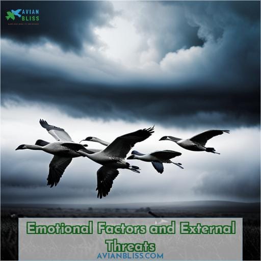 Emotional Factors and External Threats