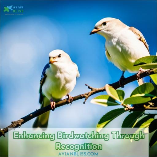 Enhancing Birdwatching Through Recognition