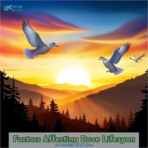 Factors Affecting Dove Lifespan