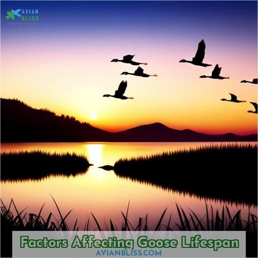 Factors Affecting Goose Lifespan