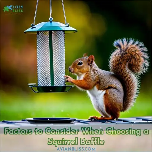 Factors to Consider When Choosing a Squirrel Baffle