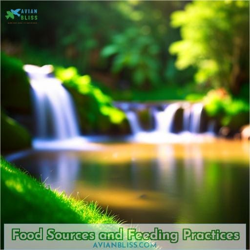 Food Sources and Feeding Practices