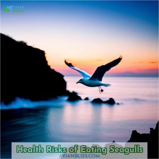 Health Risks of Eating Seagulls