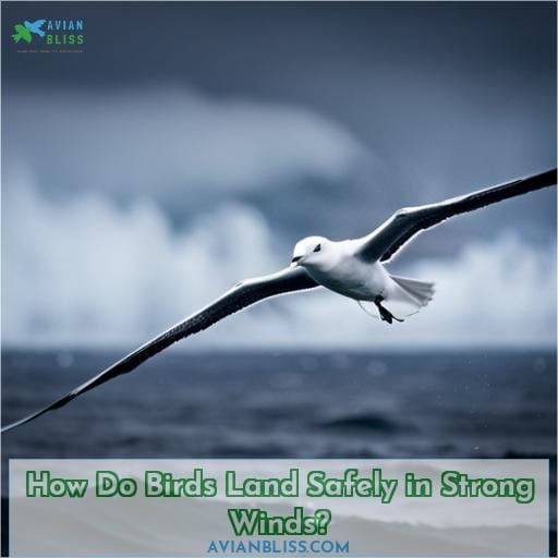 How Do Birds Land Safely in Strong Winds