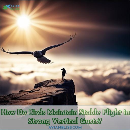 How Do Birds Maintain Stable Flight in Strong Vertical Gusts