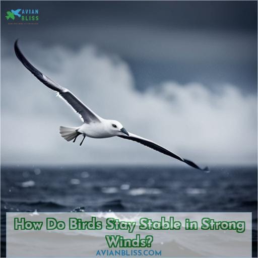 How Do Birds Stay Stable in Strong Winds