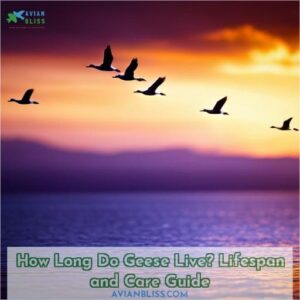 how long do geese live