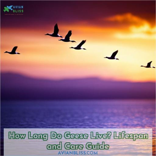 how long do geese live