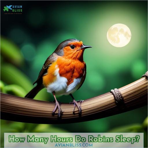 How Many Hours Do Robins Sleep
