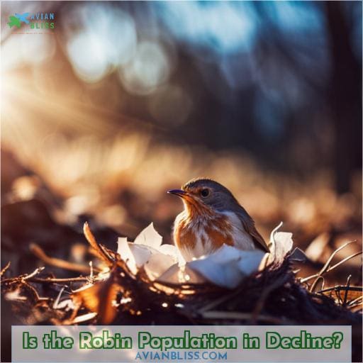 Is the Robin Population in Decline