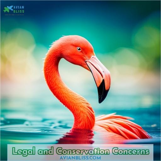 Legal and Conservation Concerns