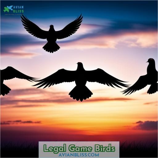 Legal Game Birds