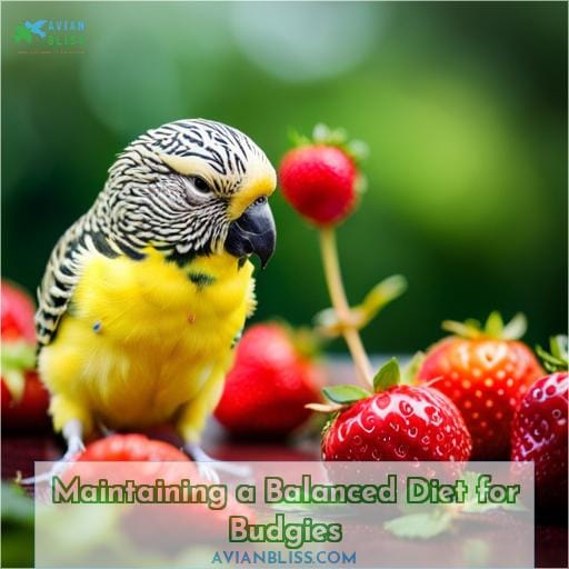 Maintaining a Balanced Diet for Budgies
