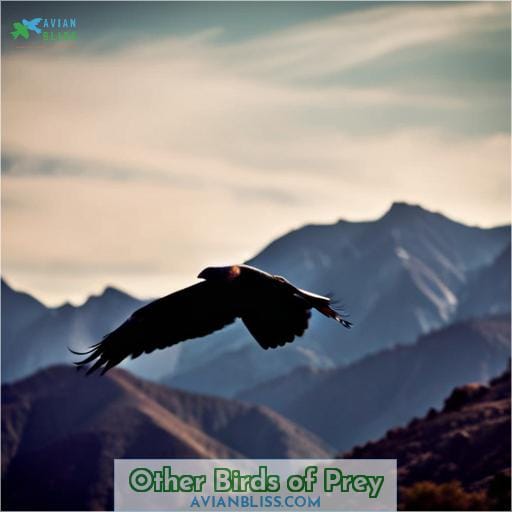 Other Birds of Prey