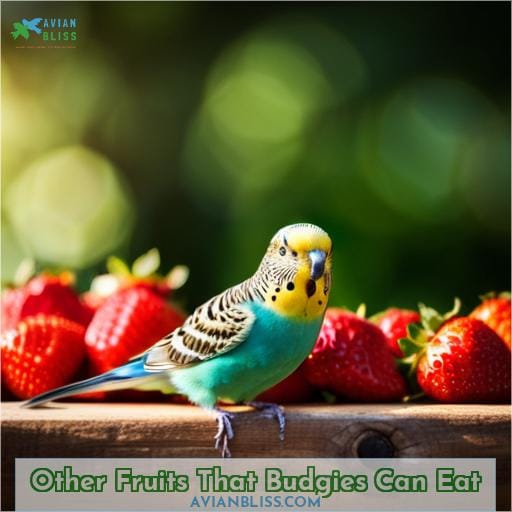 Other Fruits That Budgies Can Eat