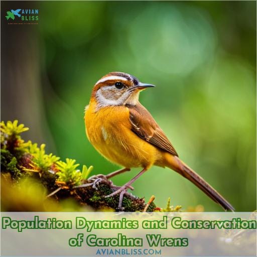 Population Dynamics and Conservation of Carolina Wrens