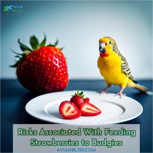 Risks Associated With Feeding Strawberries to Budgies