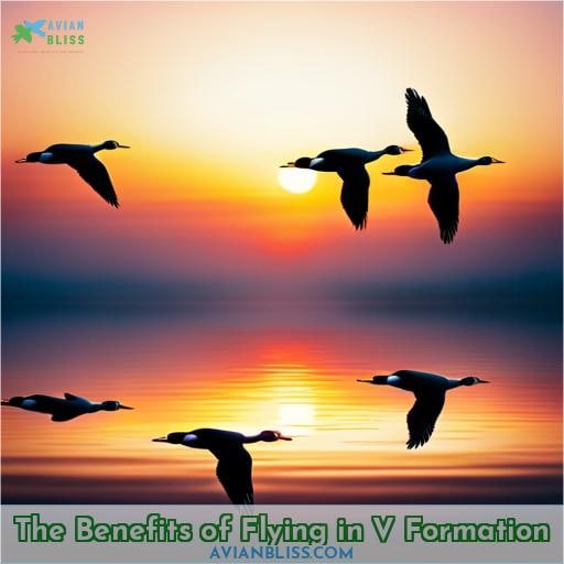 The Benefits of Flying in V Formation