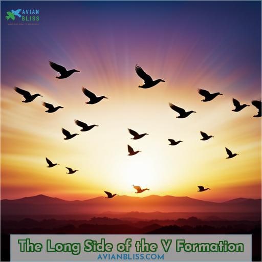 The Long Side of the V Formation