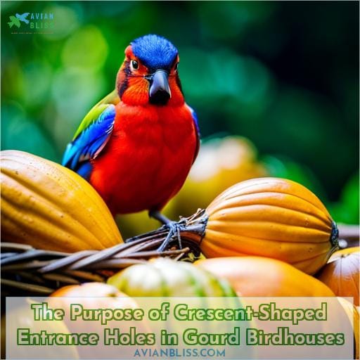 The Purpose of Crescent-Shaped Entrance Holes in Gourd Birdhouses