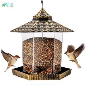 Twinkle Star Wild Bird Feeder