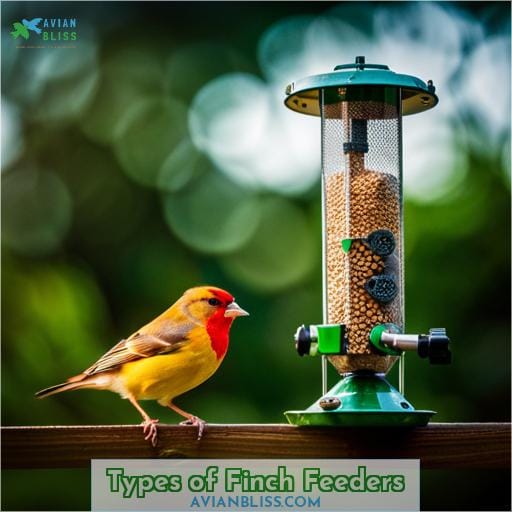 Types of Finch Feeders