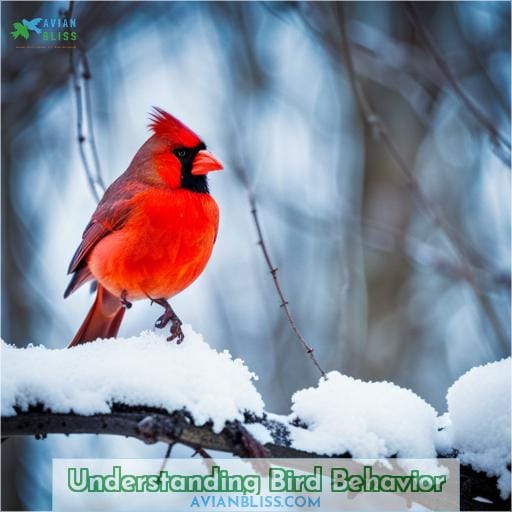 Understanding Bird Behavior