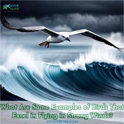 What Are Some Examples of Birds That Excel in Flying in Strong Winds