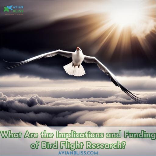 What Are the Implications and Funding of Bird Flight Research