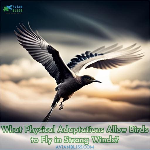 What Physical Adaptations Allow Birds to Fly in Strong Winds