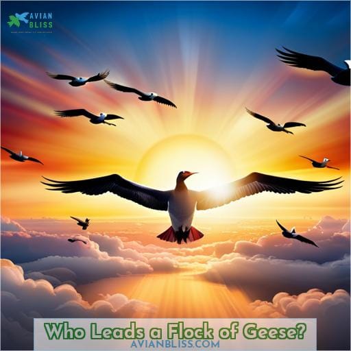 Who Leads a Flock of Geese