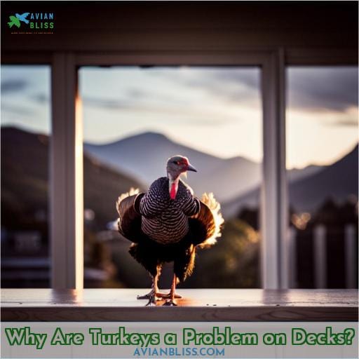 Why Are Turkeys a Problem on Decks