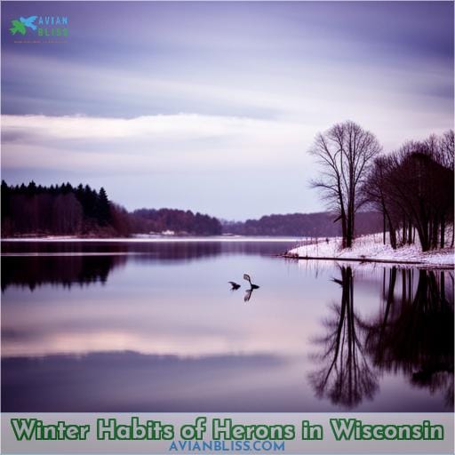 Winter Habits of Herons in Wisconsin