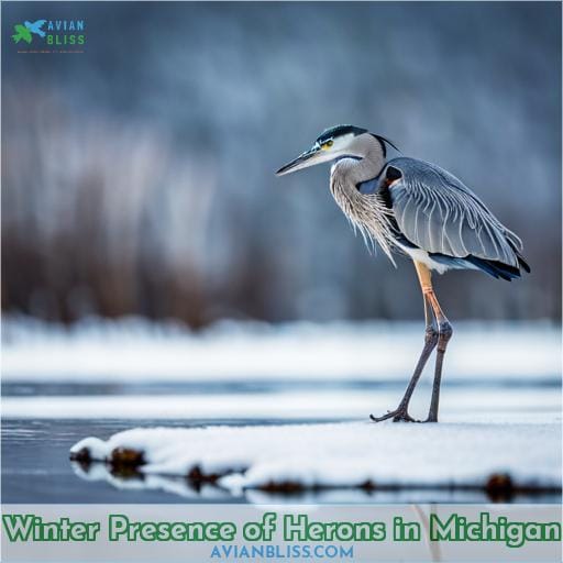 Winter Presence of Herons in Michigan