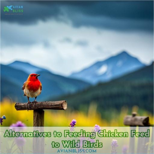 Alternatives to Feeding Chicken Feed to Wild Birds