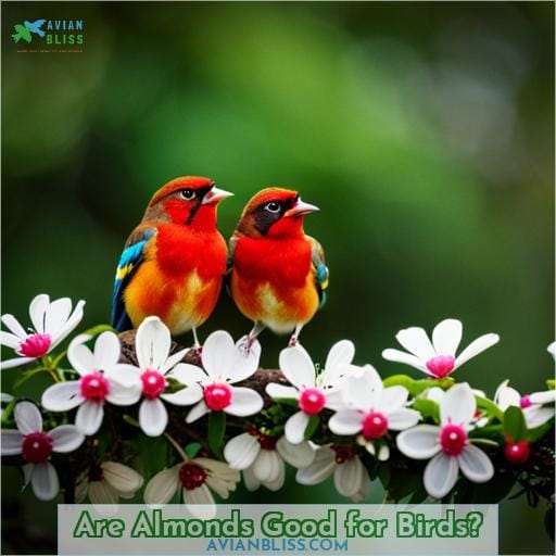 Are Almonds Good for Birds