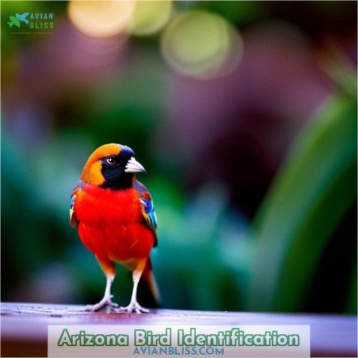 Arizona Bird Identification