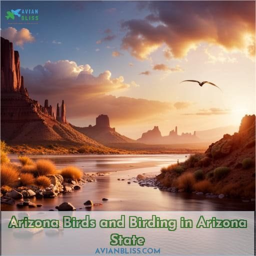 Arizona Birds and Birding in Arizona State