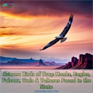 arizona birds of prey